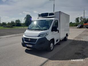 φορτηγό ψυγείο < 3.5τ FIAT DUCATO KONTENER CHŁODNIA MROŹNIA NR 705