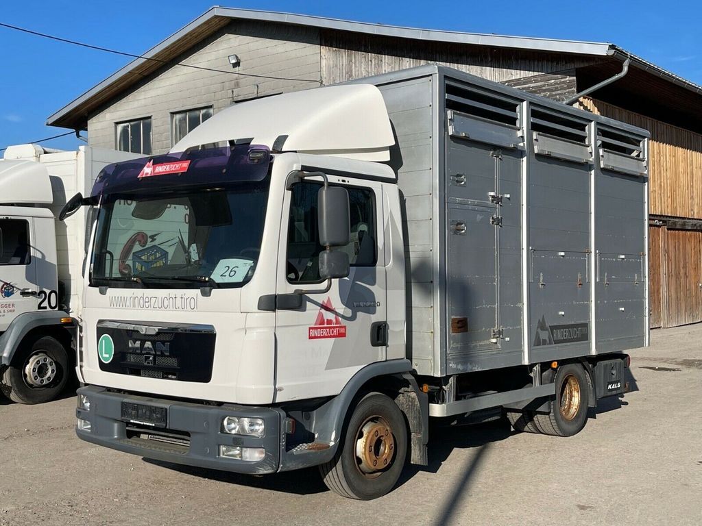 φορτηγό όχημα μεταφοράς ζώων MAN TGL 12.220 Állatszállító