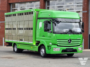 φορτηγό όχημα μεταφοράς ζώων Mercedes-Benz Atego 821 4x2 - Livestock Kaba 1 stock 12.81M2 - Ventilation - A