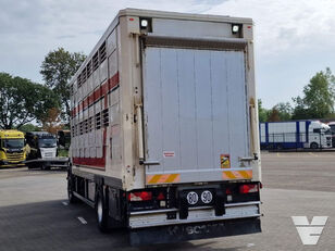 φορτηγού οχήματος μεταφοράς ζώων Scania P270 4x2 - Livestock Guitton - 2 deck - 24,12M2 - Retarder - Man προς πώληση απεικόνιση 6 φορτηγό όχημα μεταφοράς ζώων Scania P270 4x2 - Livestock Guitton - 2 deck - 24,12M2 - Retarder - Man απεικόνιση 6